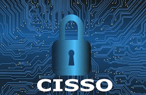 Certified Information Systems Security Officer (CISSO) Series