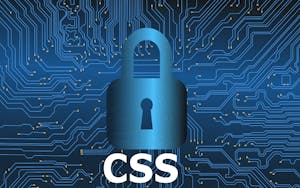 Certified Security Sentinel (CSS) Series
